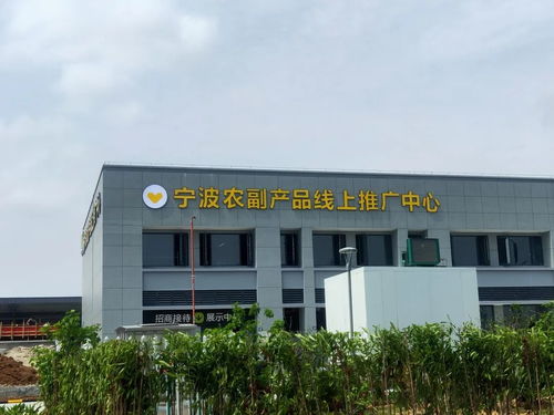 寧波農(nóng)副產(chǎn)品物流中心一期試運(yùn)營開啟 農(nóng)產(chǎn)品流通新樞紐，便捷交通指南助您暢行